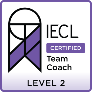 Organisational Team Coaching Level 2 (in person)