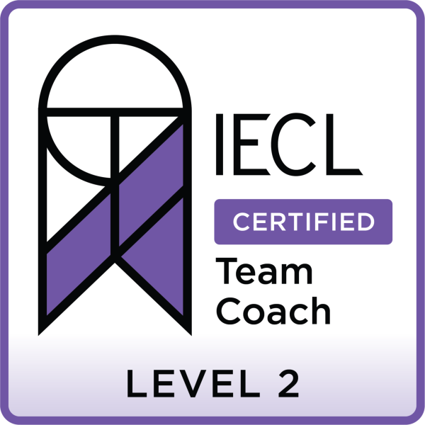 Organisational Team Coaching Level 2 (in person)