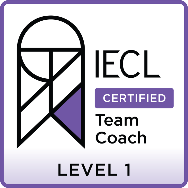 Organisational Team Coaching Level 1 (virtual)